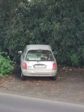Bild zu gemeldetem Anliegen vom *2024-05-13 21:28:49