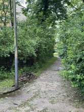 Bild zu gemeldetem Anliegen vom *2024-05-06 09:30:29