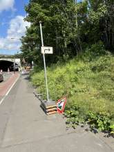 Bild zu gemeldetem Anliegen vom *2024-05-23 11:13:14