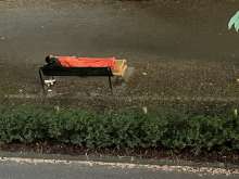 Bild zu gemeldetem Anliegen vom *2024-05-12 21:05:49