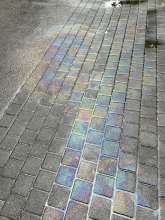 Bild zu gemeldetem Anliegen vom *2024-05-24 13:39:13