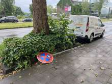 Bild zu gemeldetem Anliegen vom *2024-05-22 09:56:56