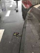 Bild zu gemeldetem Anliegen vom *2024-05-03 06:36:22