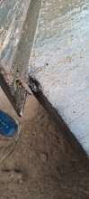 Bild zu gemeldetem Anliegen vom *2024-06-01 20:00:52