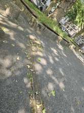 Bild zu gemeldetem Anliegen vom *2024-06-06 15:49:30