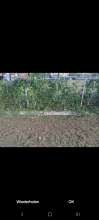 Bild zu gemeldetem Anliegen vom *2024-06-20 06:30:24