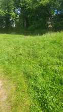 Bild zu gemeldetem Anliegen vom *2024-06-06 15:49:30