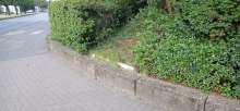 Bild zu gemeldetem Anliegen vom *2024-06-25 21:01:20