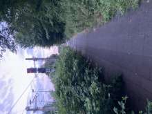 Bild zu gemeldetem Anliegen vom *2024-06-29 06:35:36