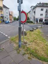 Bild zu gemeldetem Anliegen vom *2024-06-01 20:00:52