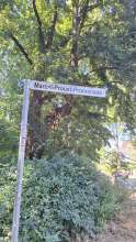 Bild zu gemeldetem Anliegen vom *2024-06-26 12:32:30