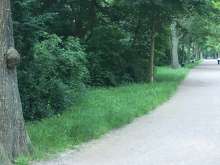Bild zu gemeldetem Anliegen vom *2024-06-04 01:34:40