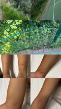 Bild zu gemeldetem Anliegen vom *2024-06-11 19:00:24