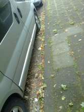 Bild zu gemeldetem Anliegen vom *2024-06-12 20:46:46