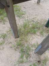 Bild zu gemeldetem Anliegen vom *2024-06-12 19:03:39