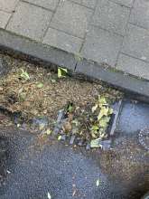 Bild zu gemeldetem Anliegen vom *2024-06-15 07:07:10