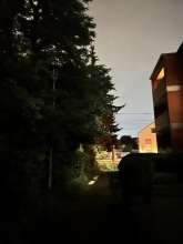 Bild zu gemeldetem Anliegen vom *2024-06-02 00:31:15