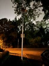 Bild zu gemeldetem Anliegen vom *2024-06-02 01:06:27
