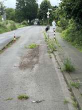 Bild zu gemeldetem Anliegen vom *2024-06-06 06:34:03