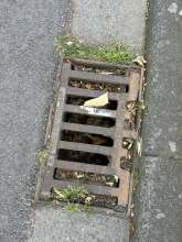 Bild zu gemeldetem Anliegen vom *2024-06-09 20:57:55