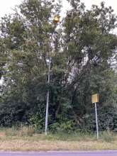 Bild zu gemeldetem Anliegen vom *2024-06-18 12:36:54