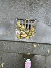 Bild zu gemeldetem Anliegen vom *2024-06-18 06:27:29