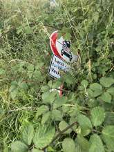Bild zu gemeldetem Anliegen vom *2024-06-27 18:45:27