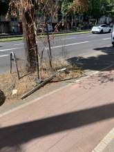 Bild zu gemeldetem Anliegen vom *2024-06-25 16:00:24