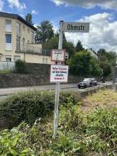 Bild zu gemeldetem Anliegen vom *2024-06-17 10:15:21