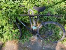 Bild zu gemeldetem Anliegen vom *2024-06-27 09:27:51
