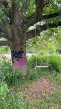 Bild zu gemeldetem Anliegen vom *2024-06-12 12:50:54