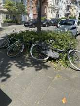Bild zu gemeldetem Anliegen vom *2024-06-26 13:29:37