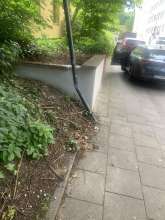 Bild zu gemeldetem Anliegen vom *2024-06-17 09:30:25