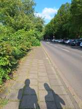 Bild zu gemeldetem Anliegen vom *2024-07-27 17:32:24