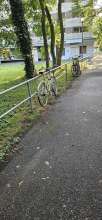 Bild zu gemeldetem Anliegen vom *2024-07-31 20:08:35