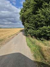 Bild zu gemeldetem Anliegen vom *2024-07-23 18:31:05