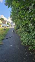 Bild zu gemeldetem Anliegen vom *2024-07-27 18:27:16