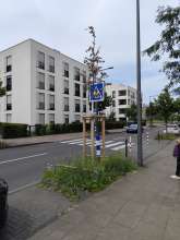 Bild zu gemeldetem Anliegen vom *2024-07-20 12:29:40