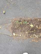 Bild zu gemeldetem Anliegen vom *2024-07-14 14:41:57