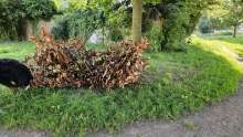 Bild zu gemeldetem Anliegen vom *2024-07-30 06:31:24