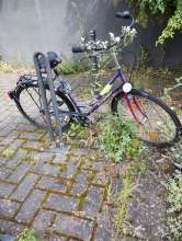 Bild zu gemeldetem Anliegen vom *2024-07-26 12:50:03
