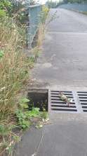Bild zu gemeldetem Anliegen vom *2024-07-12 21:36:01