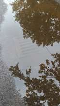 Bild zu gemeldetem Anliegen vom *2024-07-12 11:04:11