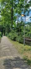 Bild zu gemeldetem Anliegen vom *2024-07-31 12:32:25