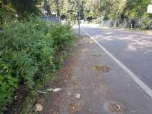 Bild zu gemeldetem Anliegen vom *2024-07-31 08:43:44