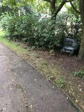 Bild zu gemeldetem Anliegen vom *2024-07-10 22:47:31