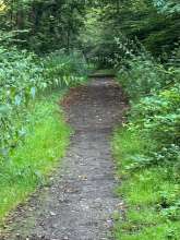 Bild zu gemeldetem Anliegen vom *2024-07-29 09:06:35