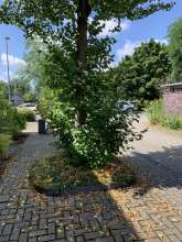 Bild zu gemeldetem Anliegen vom *2024-07-28 10:30:10