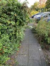 Bild zu gemeldetem Anliegen vom *2024-07-30 07:55:49