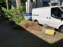 Bild zu gemeldetem Anliegen vom *2024-07-29 11:50:55
